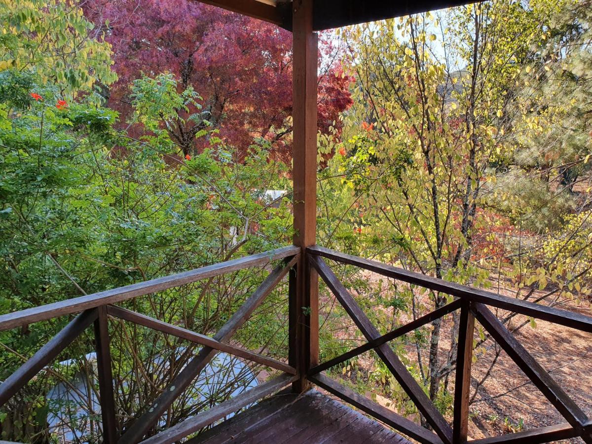 발링업 Redgum Hill Country Retreat 게스트하우스 외부 사진