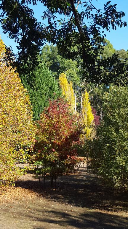 발링업 Redgum Hill Country Retreat 게스트하우스 외부 사진